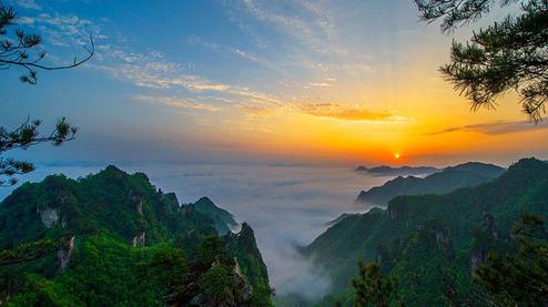 張家界森林公園（金鞭溪、袁家界、楊家界、天子山、十里畫廊）住山上2天1游（可看日出）